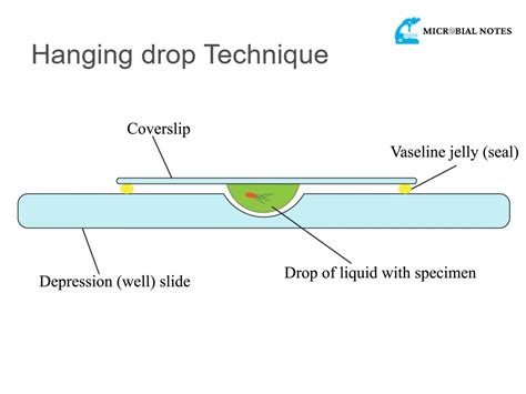 drop test methodology|drop test format.